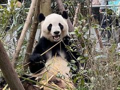 -烤匠麻辣烤鱼(万象城店)