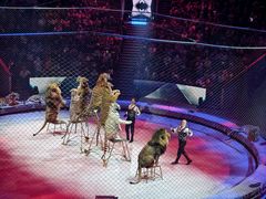 -俄罗斯国家大马戏团