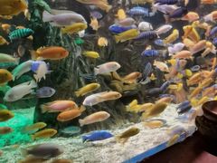 -太平洋海底世界