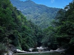 -大鄣山卧龙谷景区