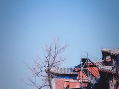 -泰山风景名胜区