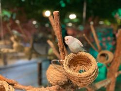 -酷嗒动物文化乐园(cutezoo西溪乐天城店)