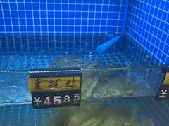 -金龙·打边炉(南京西路店)