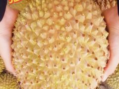 -开皇马来西亚榴莲美食店(华强北店)