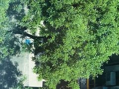 -清真伊源饺子馆(陶然共友大厦店)
