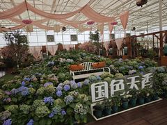 -盈香心动乐园