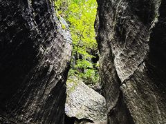 -梭布垭石林景区