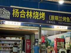 -杨合林啊兰烤鱼