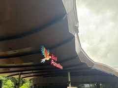 -新加坡飞禽公园