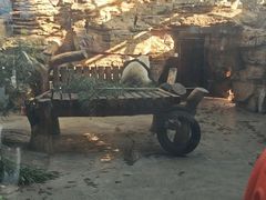 -石家庄市动物园