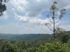 -广州市帽峰山景区
