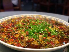-新概念来凤鱼(璧山店)