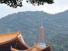 -深圳市中科院仙湖植物园