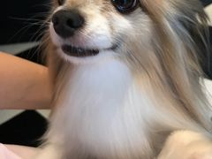 -Oh My Dog宠物沙龙(伊珊娜皮毛护理店)