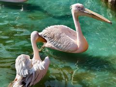 -大连老虎滩海洋公园