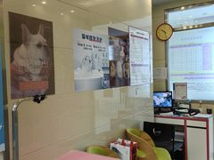 -北京观赏动物医院·24小时大型综合·猫专科·异宠专科