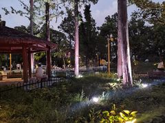 -宁波儿童公园(鄞州区)