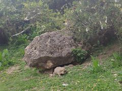 -甘加秘境