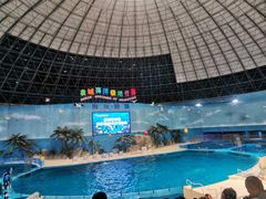 -泉城欧乐堡海洋极地世界