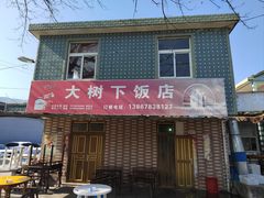 -大树下饭店(春晓镇慈岙社区卫生服务站南)