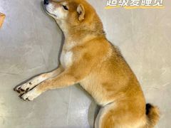 -NOTBAD 须时·咖啡馆