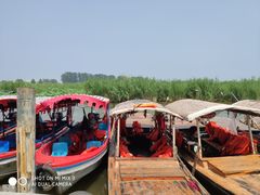 -白洋淀景区