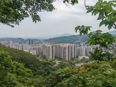 -福道