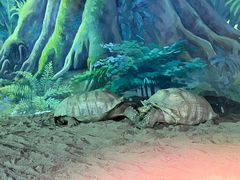 -泉城欧乐堡海洋极地世界
