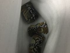 -喜洋洋蟹庄(阳澄湖店)