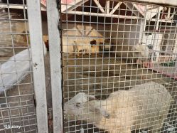 -金庭庄园酒店彩虹厅