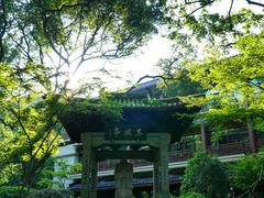 -杭州花家山庄
