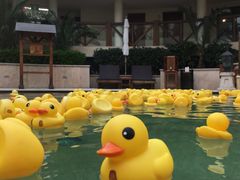 -苏州湾王焰温泉度假酒店