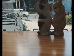 -益杯半舍·Yippee Barseh(宇宏健康花城店)