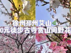 -艾山风景名胜区