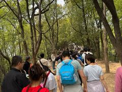 -灵岩山风景区