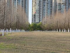 -汉江湾体育公园
