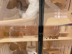 -火星工厂·桌游·团建聚会·轰趴馆(厦滘店)