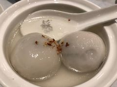 -苏浙汇(朝外店)