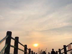 -广东惠东海龟国家级自然保护区