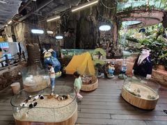 -正佳雨林生态植物园