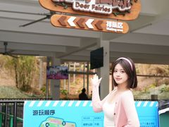 -盈香心动乐园