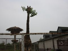 -临沂动植物园