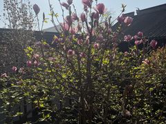 -苏州文旅花间堂·探花府酒店
