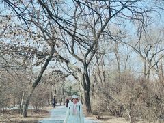 -北陵公园