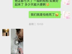 -奈斯宠物医院·核磁CT·异宠专科·内镜(中南店)