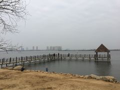 -瑶湖郊野森林公园