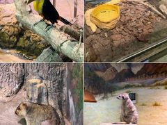 -正佳雨林生态植物园
