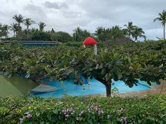 -三亚亚龙湾天域度假酒店