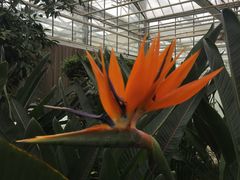 -上海鲜花港