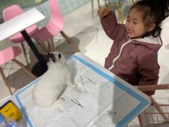 -RU DUCK柯尔鸭公社·撸鸭俱乐部·羊驼·小香猪